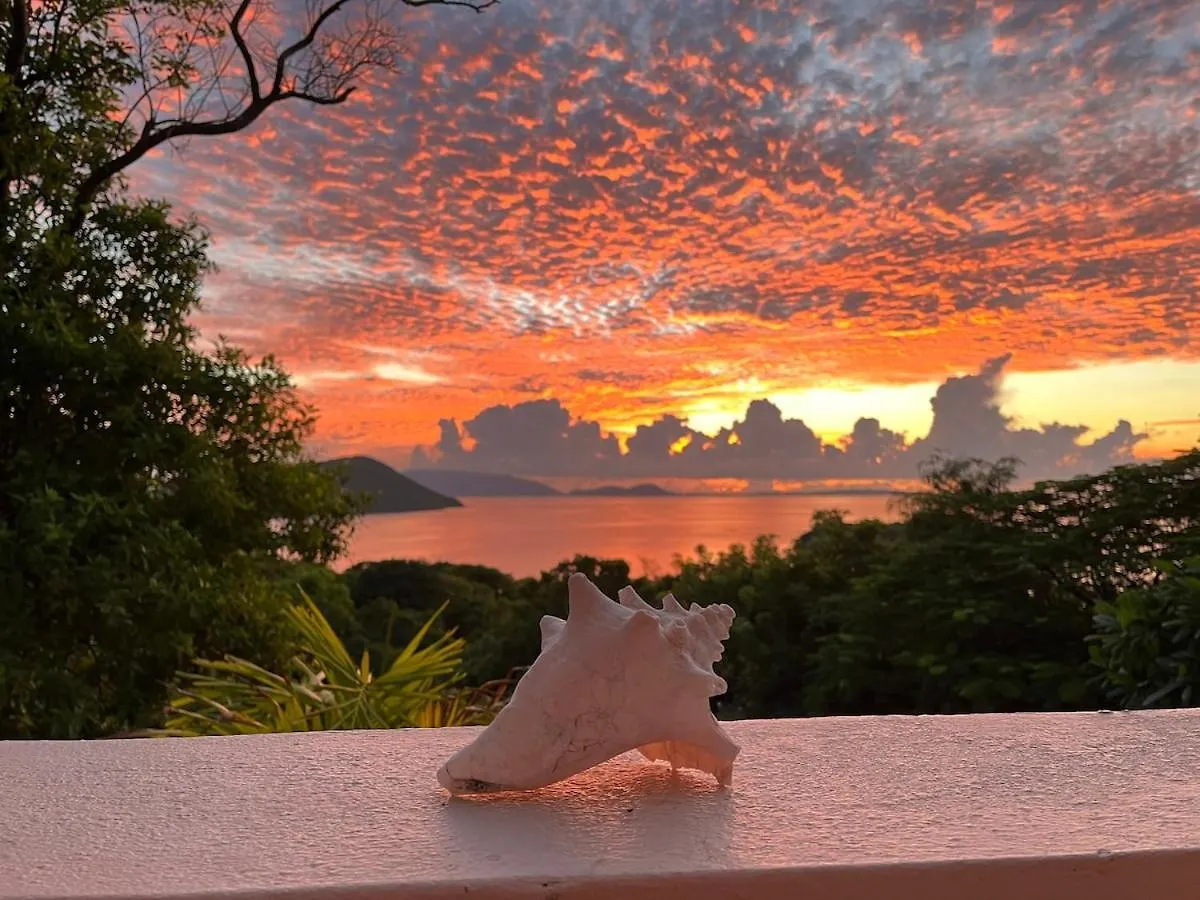 Aloe House Bvi Βίλα Scrub Island