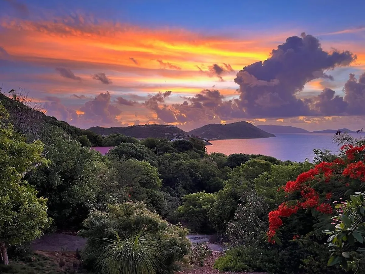 Aloe House Bvi Βίλα Scrub Island
