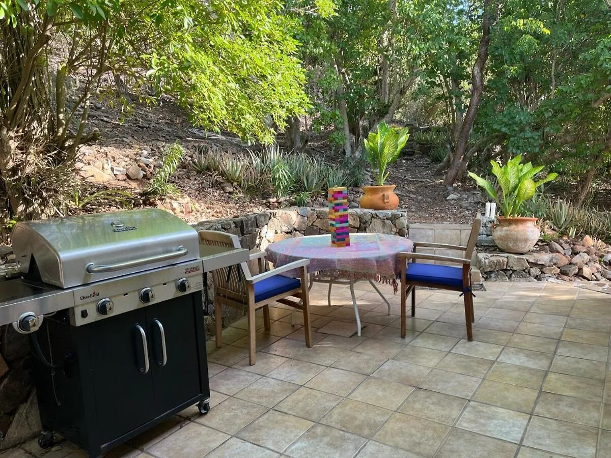 Aloe House Bvi Βίλα Scrub Island